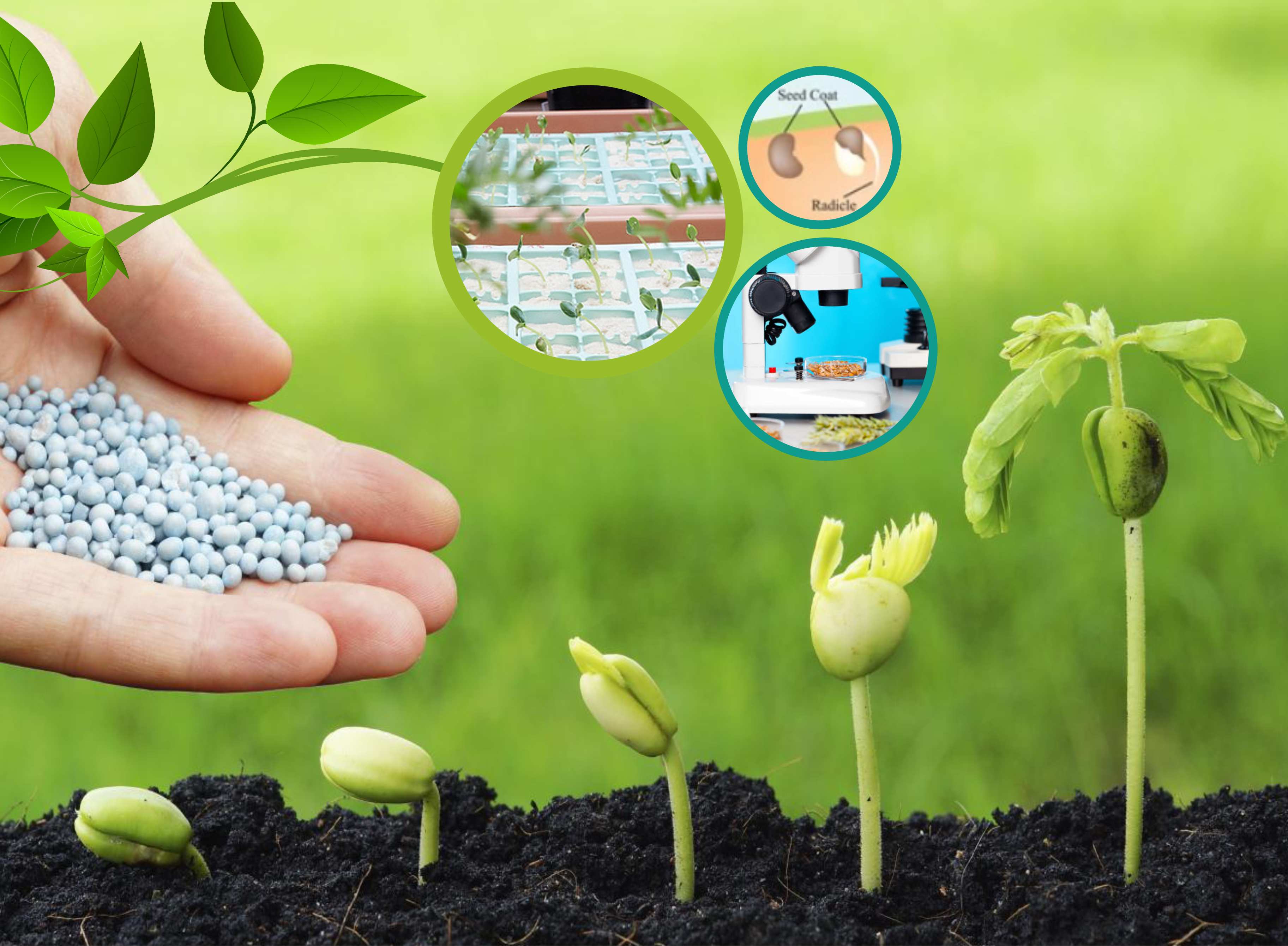 About Seed Coating Polymer India