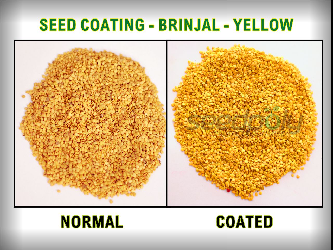 Seedpoly Brinjal Yellow Seed Coated Polymer