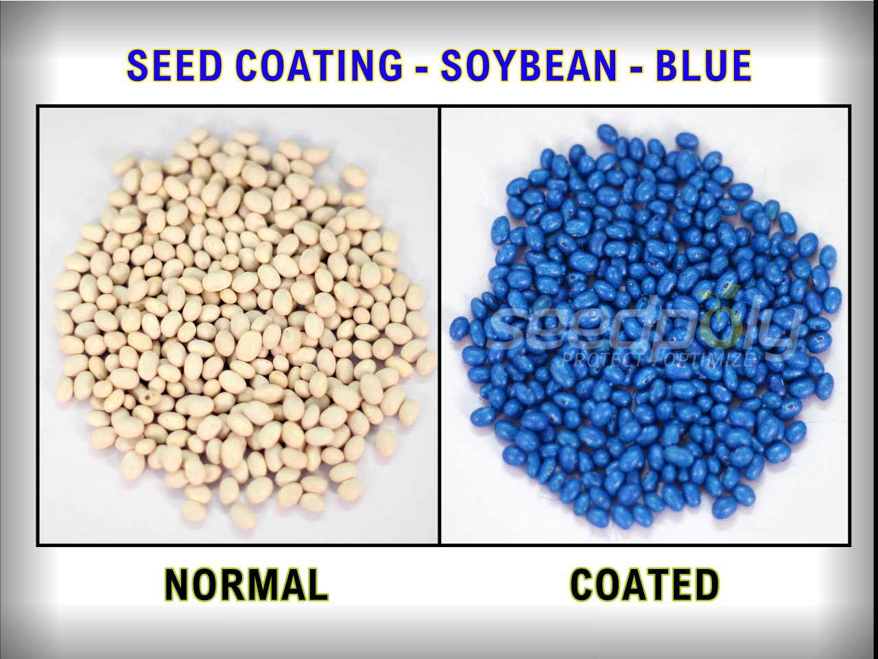 Seedpoly Blue Soybean Seed Coating Polymer