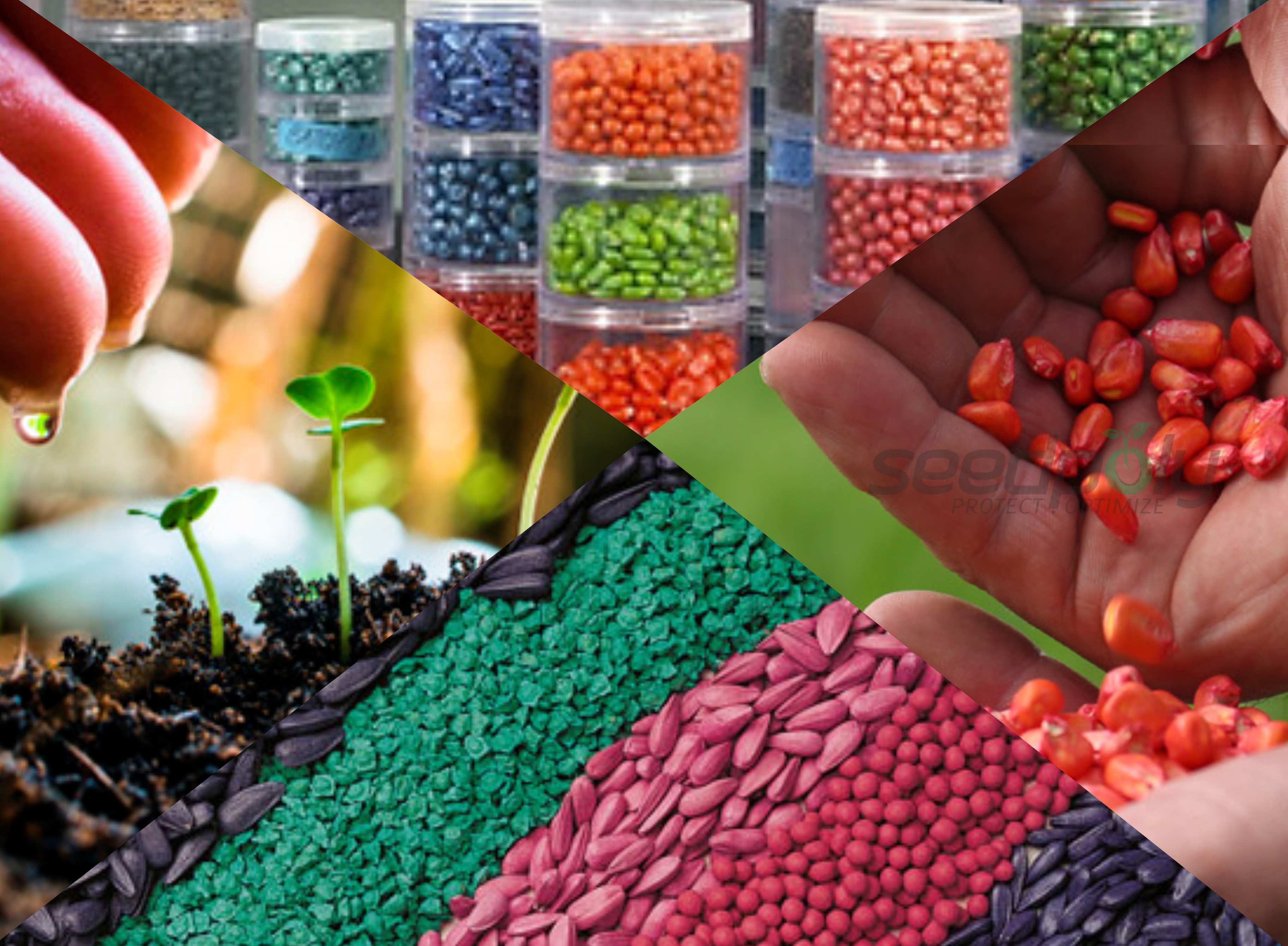 Seedpoly Seed Coating Polymers, Seed Colorants