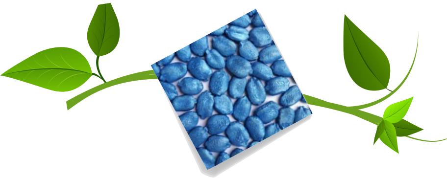 Bittergourd Blue Seed Polymer Exporters