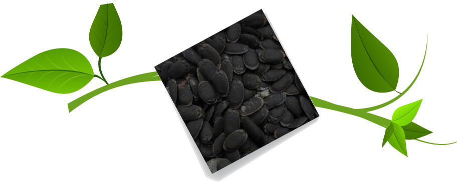 Black Seed Coating Polymer Manufacturers