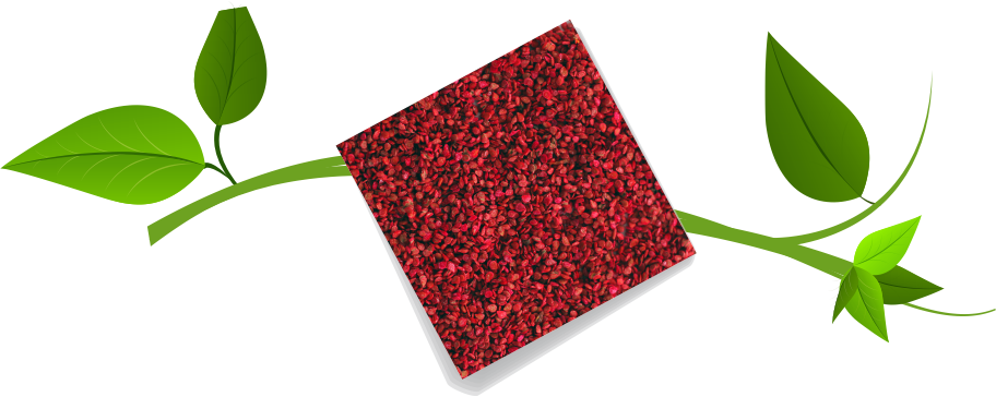 Tomato Red Seed Polymer Exporters
