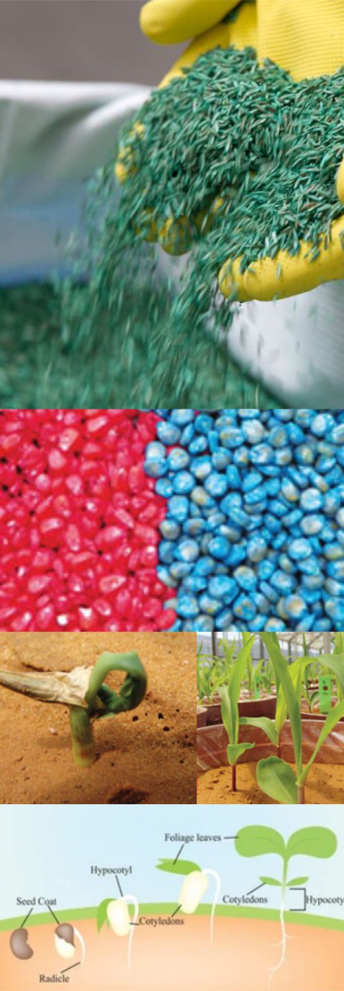 Seed Treatments Specialist India