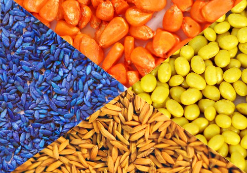 Seed Coating Polymer exporters Indonesia